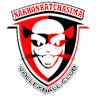 team name team-nrm