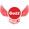 team name team-pgz