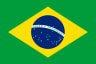 Volleyball team Brazil flag