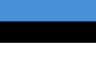 Beach Volleyball Estonia flag