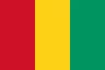 Beach Volleyball Guinea flag