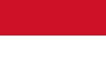 Volleyball team Indonesia flag