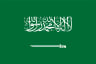 Beach Volleyball Saudi Arabia flag
