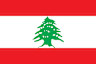 Beach Volleyball team-lbn flag