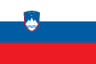 Volleyball team Slovenia flag