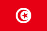 Volleyball team Tunisia flag
