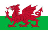 Beach Volleyball Wales flag
